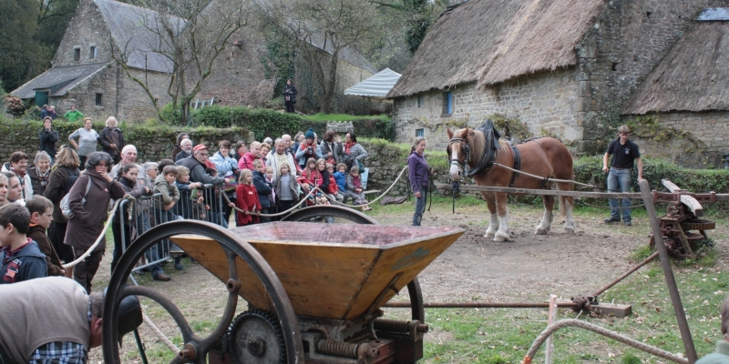 Nature et traditions du pays d